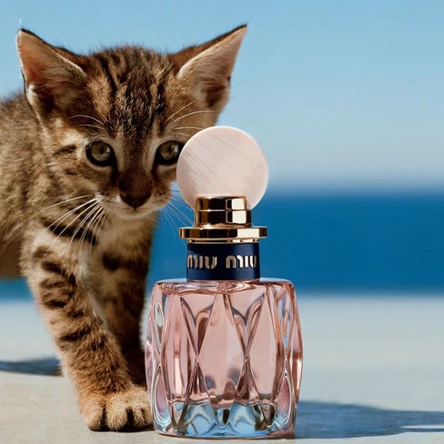 MIU MIU LEAU ROSEE EDT 100ML-perfume-arabe-decant-perfume-original